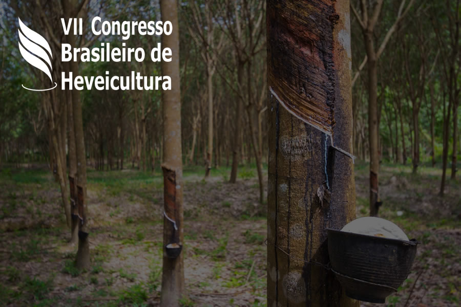 Congresso Brasileiro de Heveicultura será realizado em Piracicaba